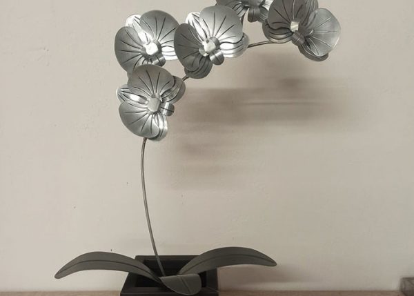 Orchidée décorative design